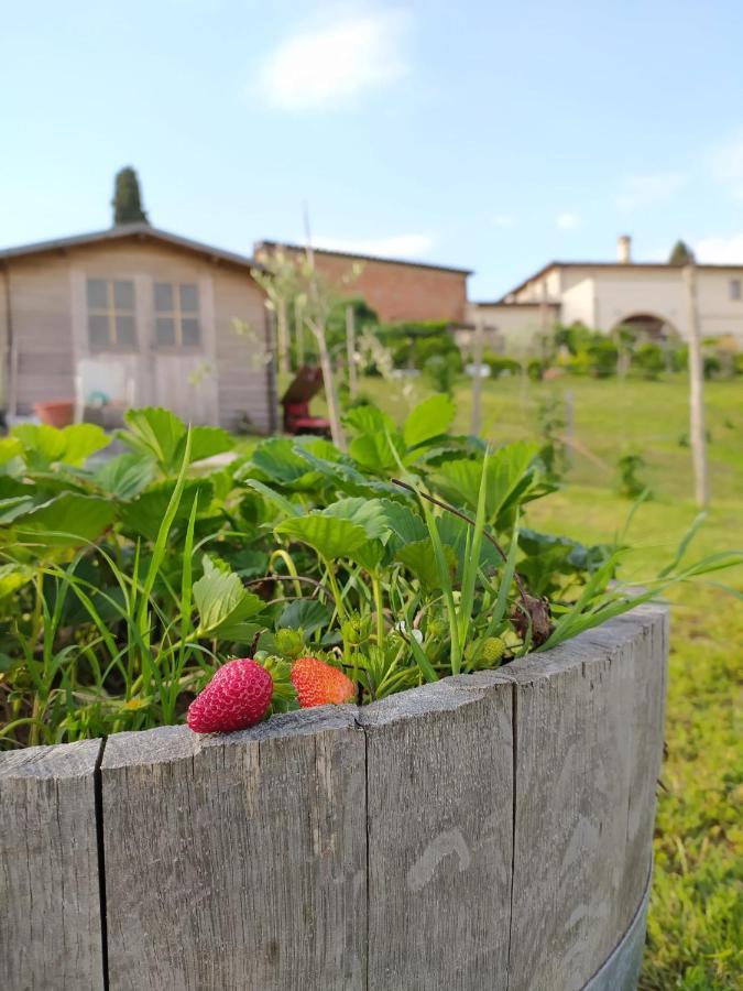 Agriturismo Villa Adimari Cerreto Guidi Exteriér fotografie
